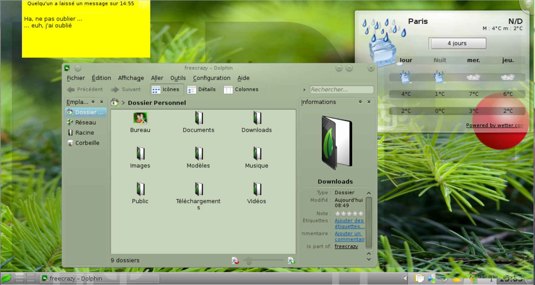 Bureau KDE avec 2 plasmoïdes